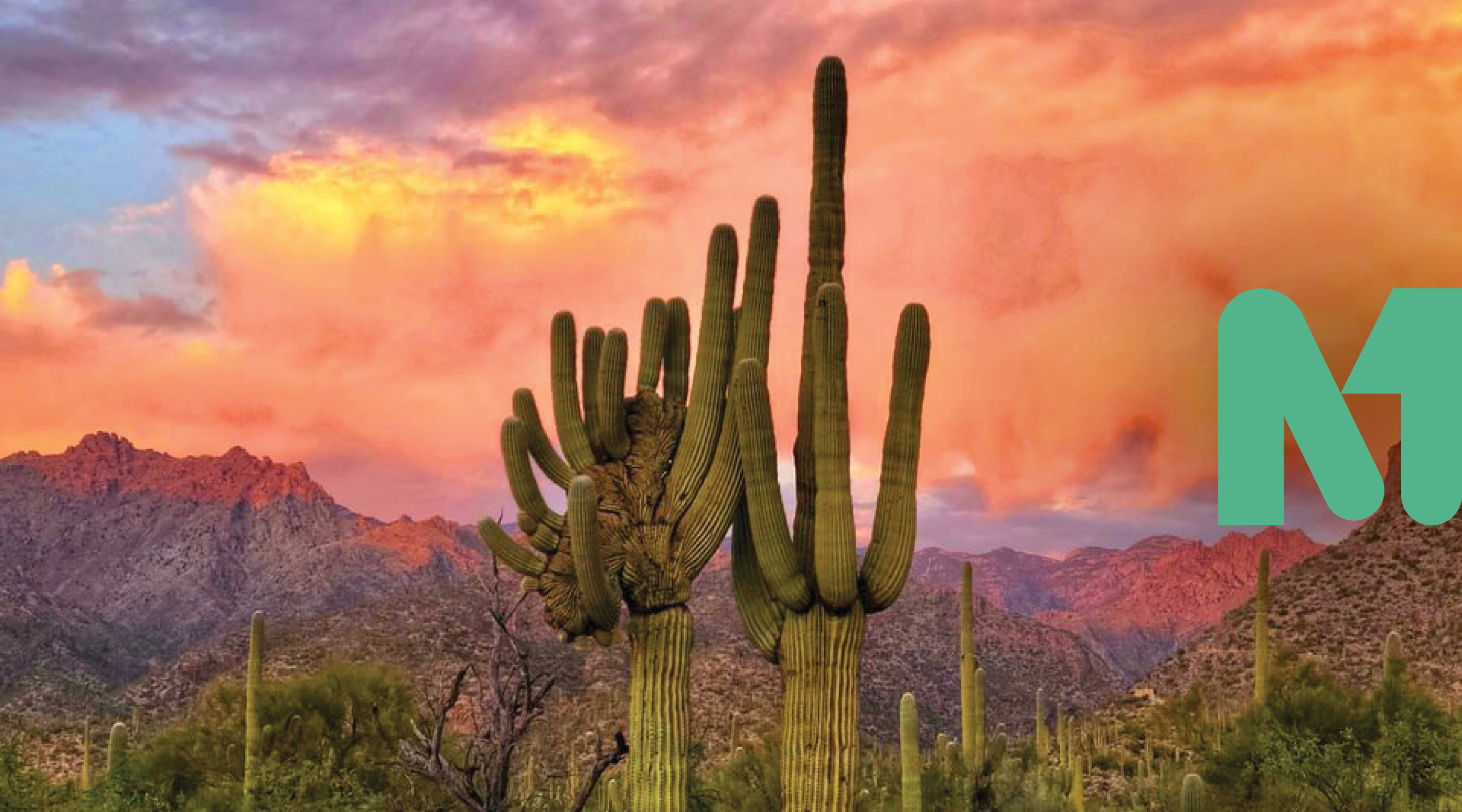 Visit Tucson Launches New Brand Through a GoPro Creator Partnership